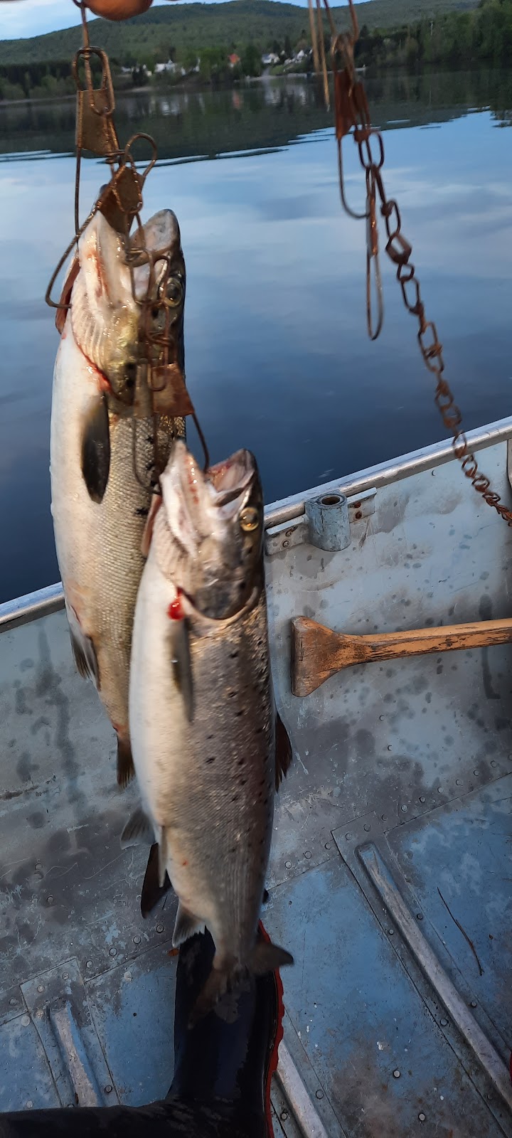 Marina de Pohénégamook | Rue de la Marina, Pohénégamook, QC G0L 1J0, Canada | Phone: (418) 859-7722