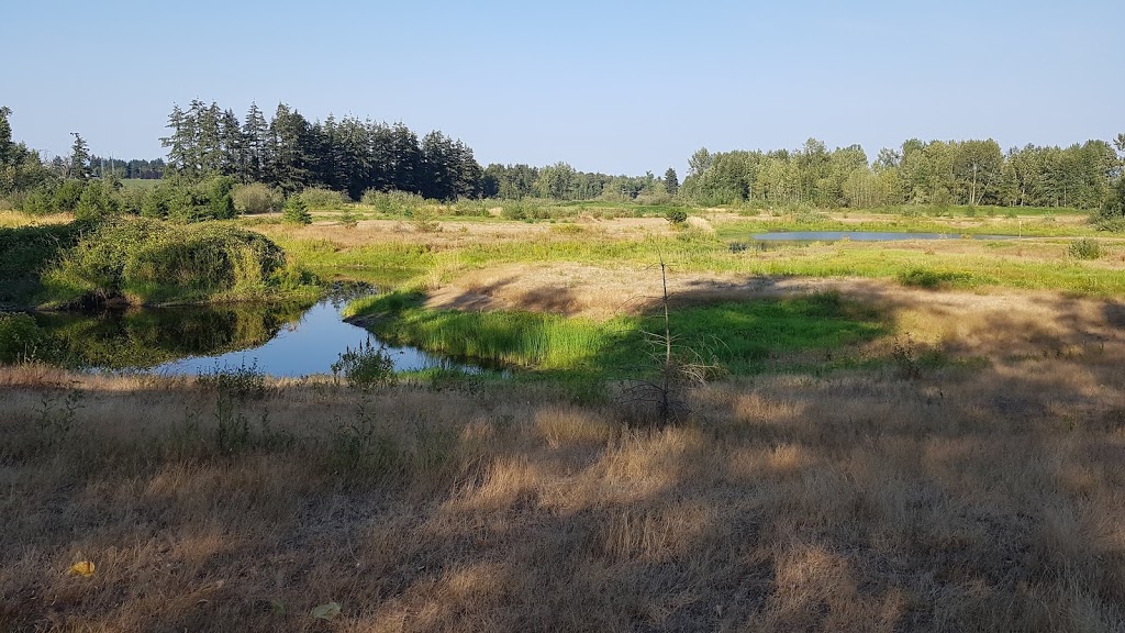 Jackman Wetlands, Aldergrove, BC | Langley Twp, BC V4W, Canada