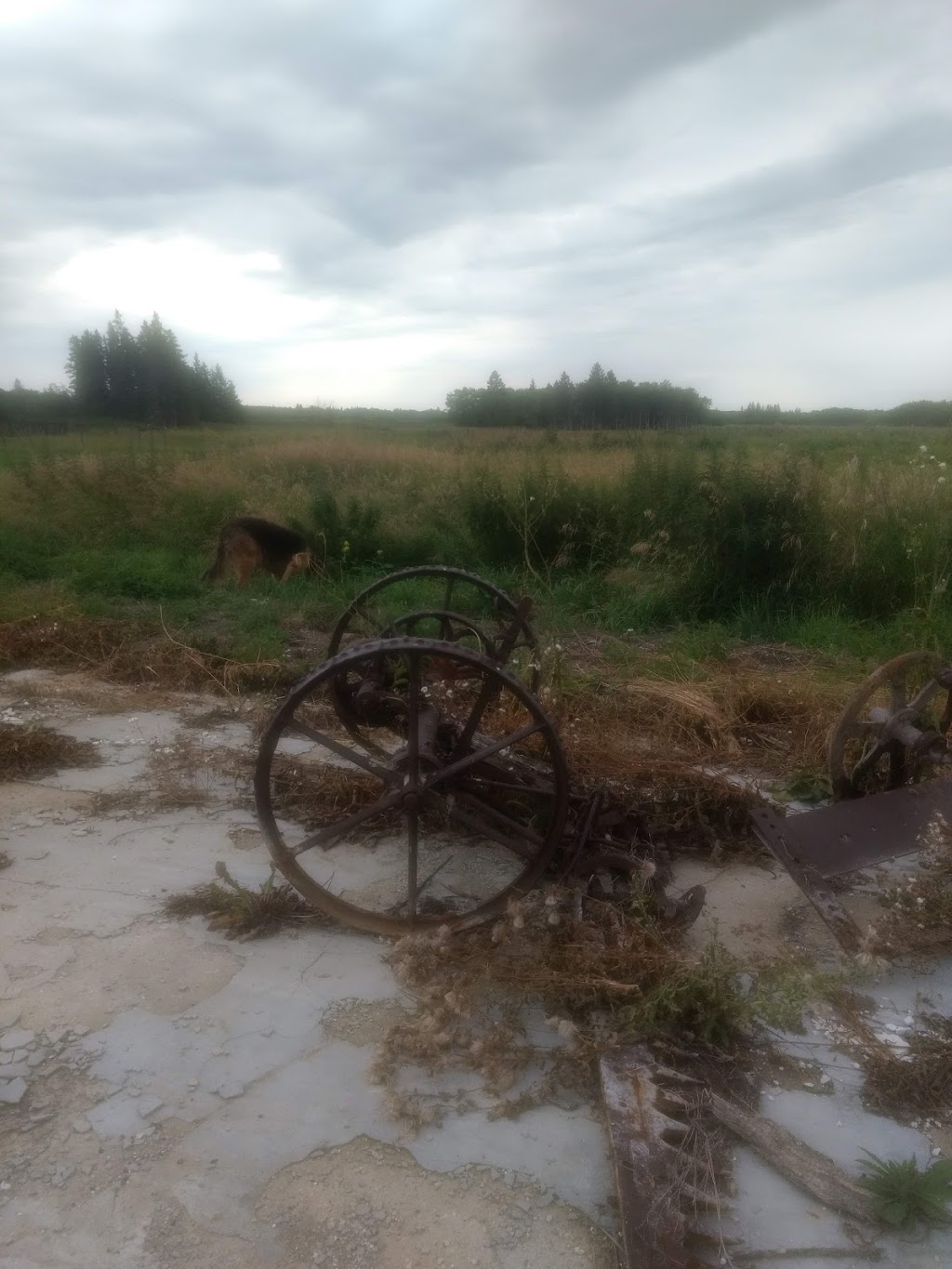 Armand Lemiez Homestead Site | Unnamed Road, Grahamdale, MB R0C 1C0, Canada | Phone: (204) 768-2858