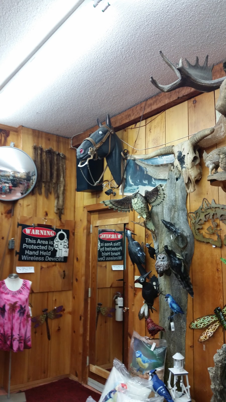 High Spring Trading Post & Saddlery | 8239 Hwy 7 RR 3, Havelock, ON K0L 1Z0, Canada | Phone: (705) 778-3760