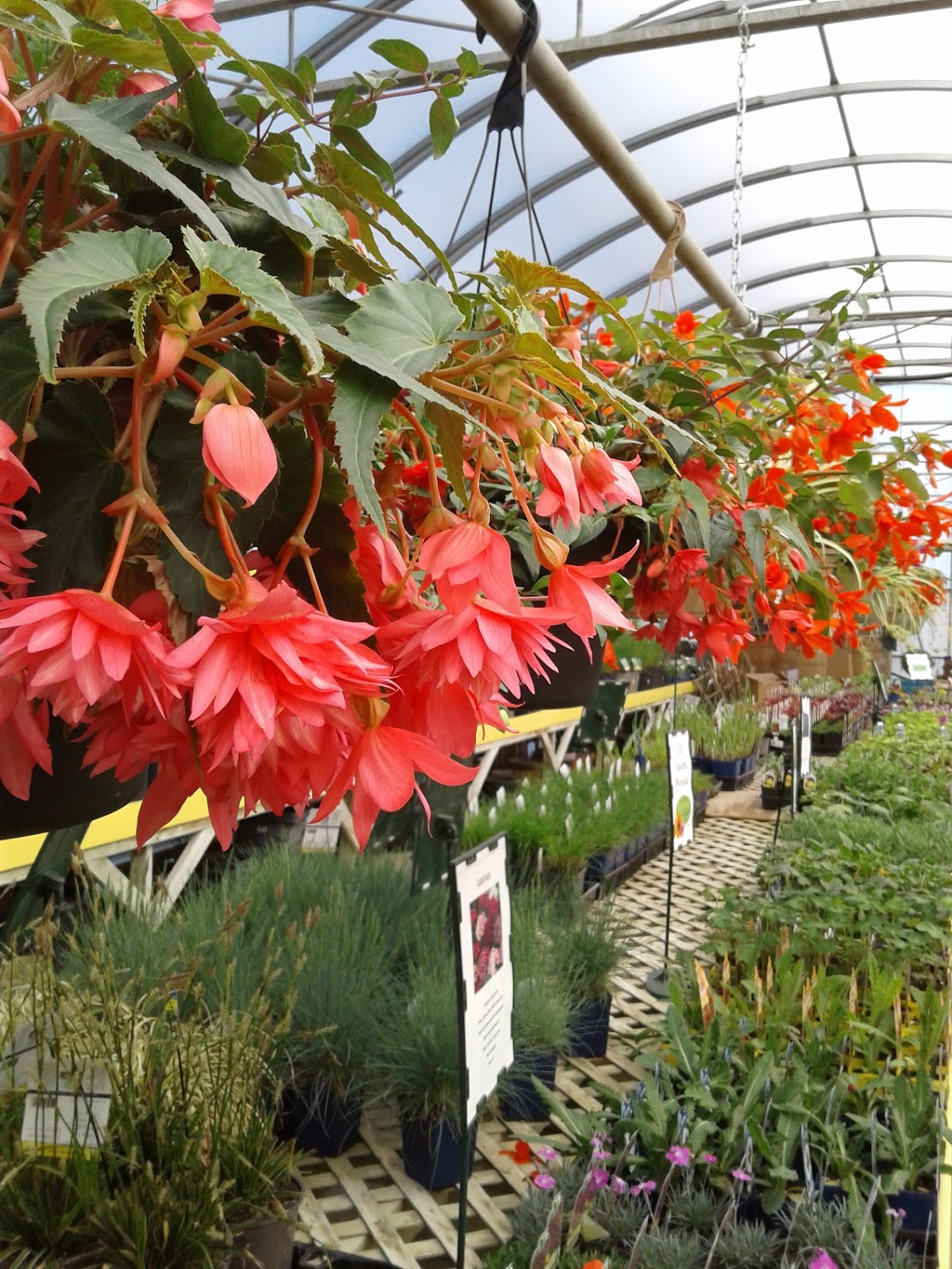 Botanix Oxford Insta-Shade | 593806 Oxford 59, Burgessville, ON N0J 1C0, Canada | Phone: (519) 424-2180
