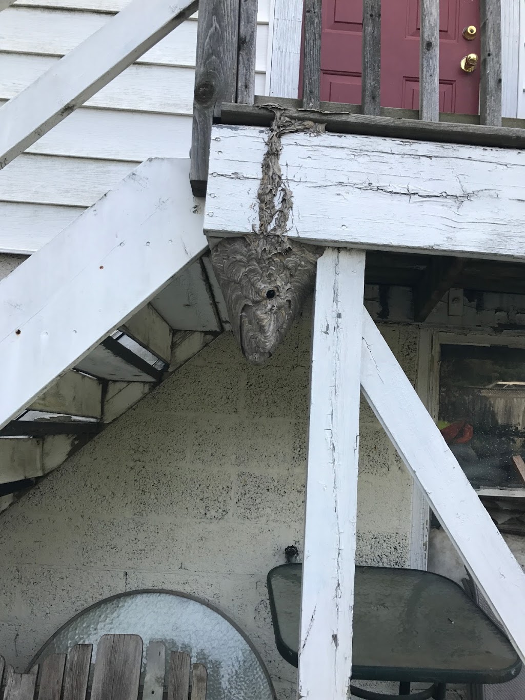 Canadian Pest Solutions | 40 Azar Ave, Tilbury, ON N0P 2L0, Canada | Phone: (866) 256-8693