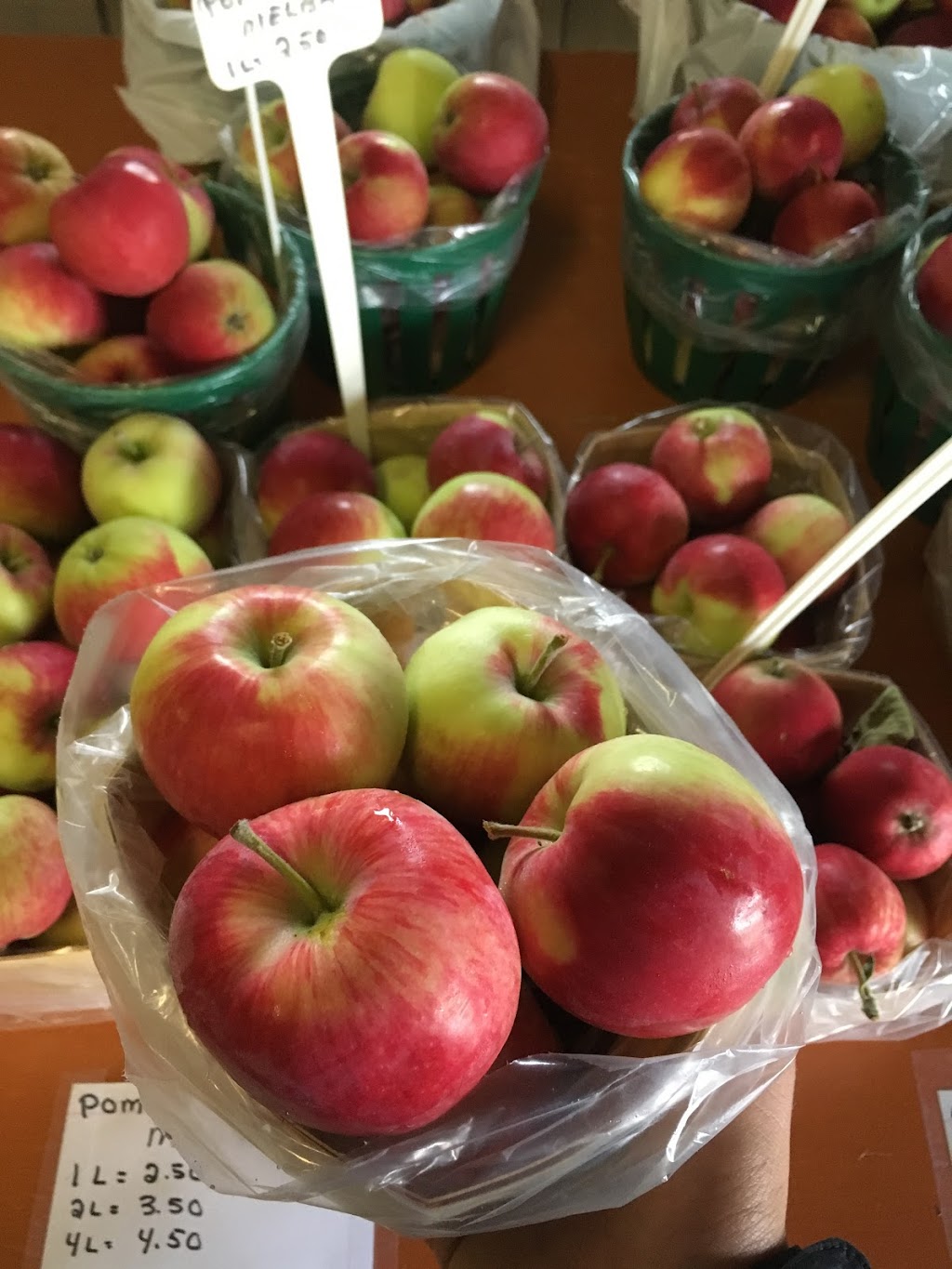 Ferme Simard | 10611 Bd Sainte-Anne, Sainte-Anne-de-Beaupré, QC G0A 3C0, Canada | Phone: (418) 561-0505