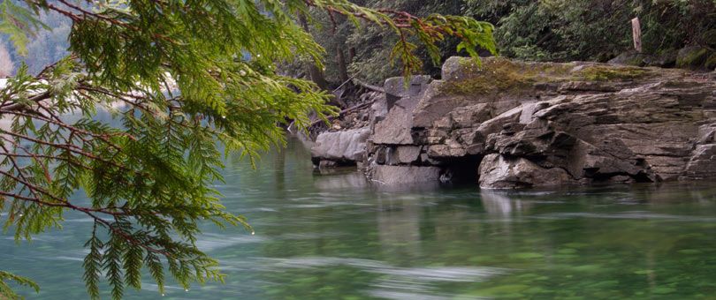 Milne Selkirk Lawyers | 21183 88 Ave #501, Langley City, BC V1M 2G5, Canada | Phone: (604) 882-5015