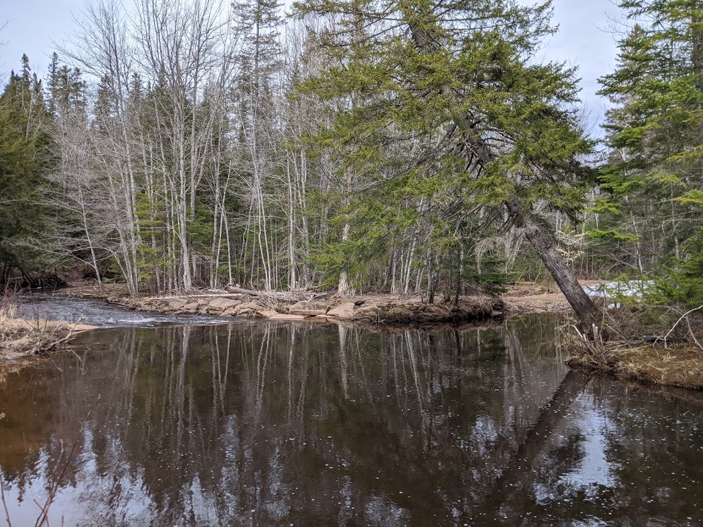 Mill Creek Nature Park | Riverview, NB E1B 5J5, Canada | Phone: (506) 387-2024