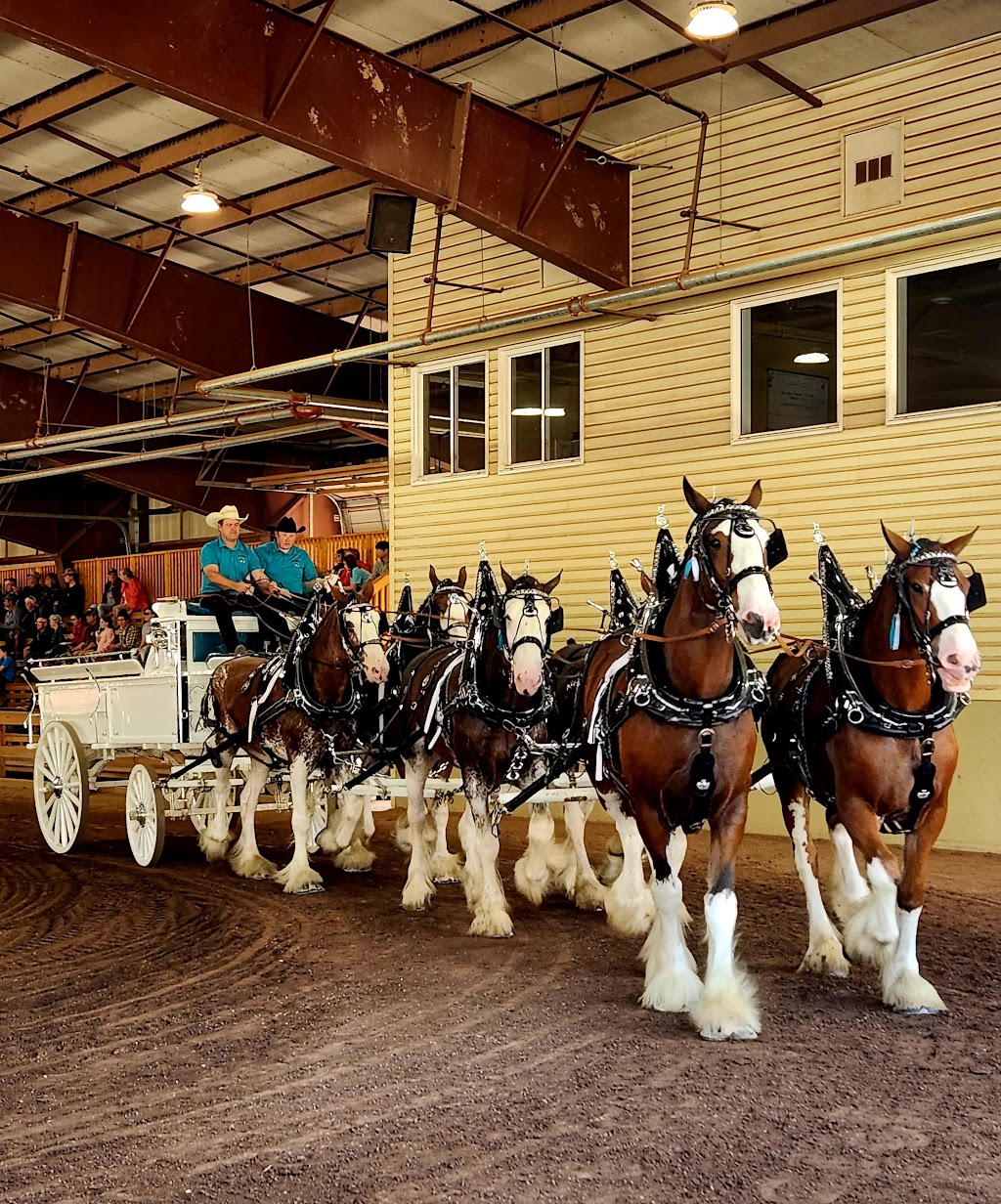 Princess Louise Park Show Centre | 56 Perry St, Sussex, NB E4E 2N7, Canada | Phone: (506) 433-4700