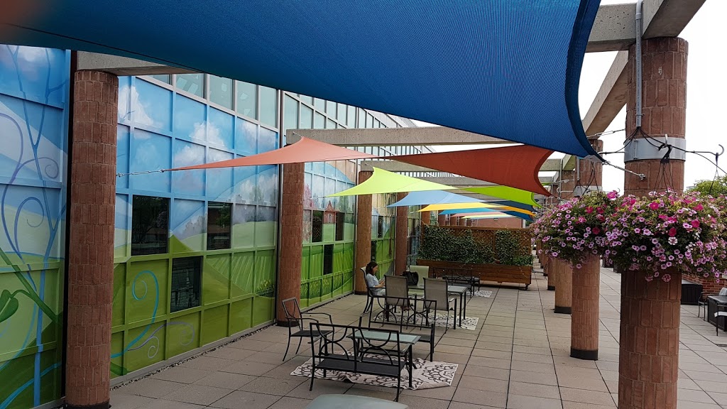 Ray Catchers | 487 Boler Rd, London, ON N6K 2K8, Canada | Phone: (226) 236-0710