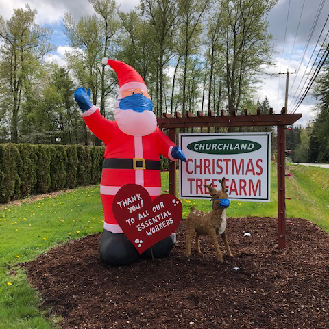 Churchland Christmas Tree Farm | 4726 248 St, Aldergrove, BC V4W 1B6, Canada | Phone: (604) 996-1046