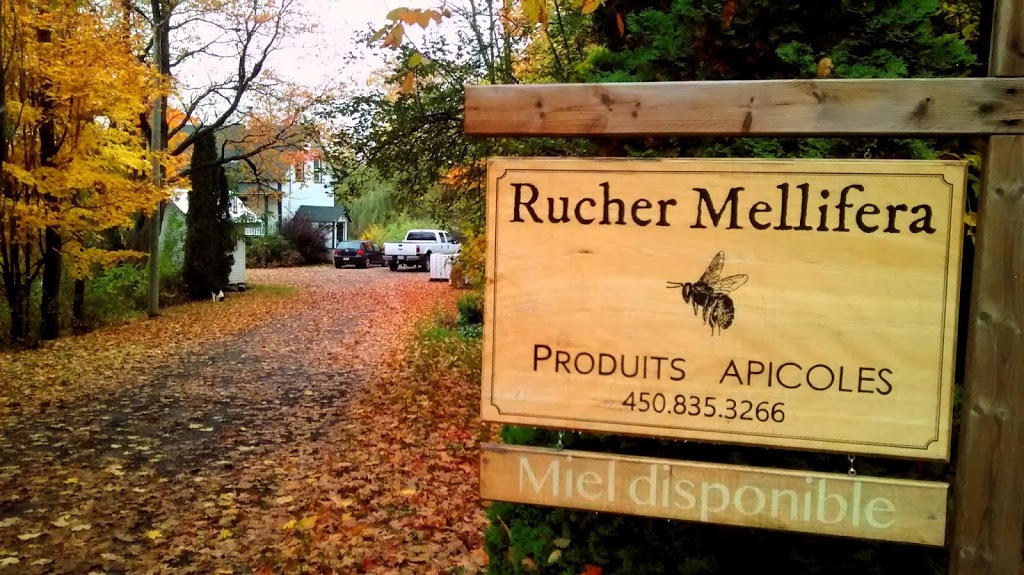 Rucher Mellifera | 3951 Rang Sainte Anne, Saint-Norbert, QC J0K 3C0, Canada | Phone: (450) 835-3266