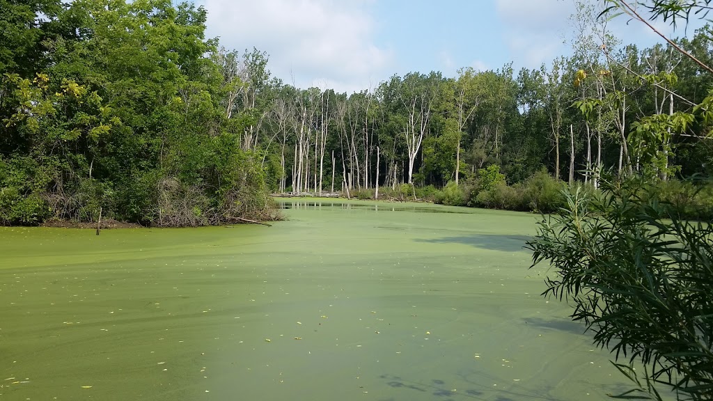 Big Bend Conservation Area | 21239 Big Bend Rd, Southwest Middlesex, ON N0L, Canada | Phone: (519) 264-2420