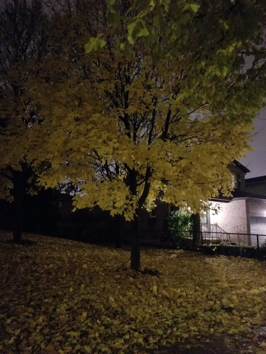 Vanderburgh Parkette | Bluesky Crescent, Richmond Hill, ON L4C 8J6, Canada | Phone: (905) 747-6389