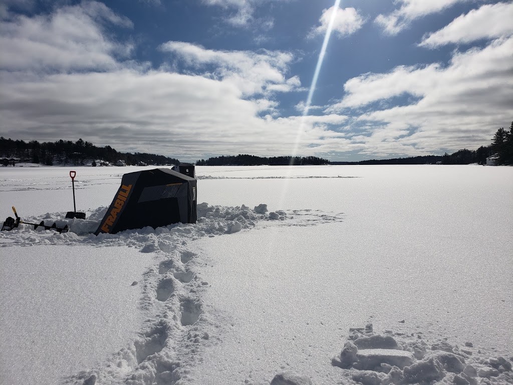 Hamer Bay Marine | 92 Hamer Bay Rd, MacTier, ON P0C 1H0, Canada | Phone: (705) 375-2232