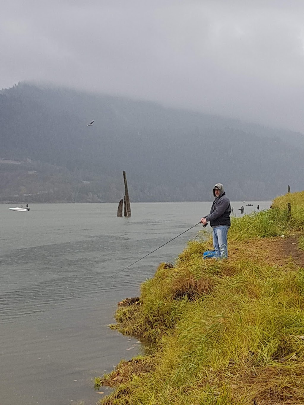 Dewdney Regional Park | 8074 River Rd S, Fraser Valley G, BC V2V 6T1, Canada | Phone: (604) 702-5000