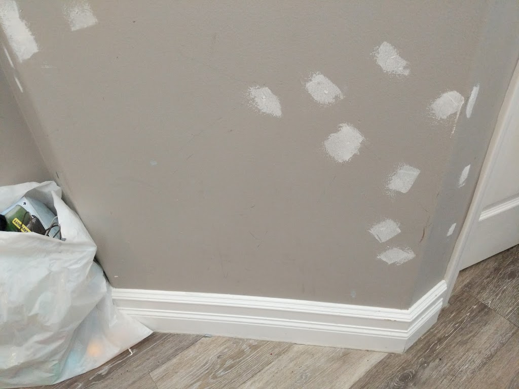 Front 2 Back Painters | 10205 159 St NW, Edmonton, AB T5P 3A3, Canada | Phone: (587) 802-1186