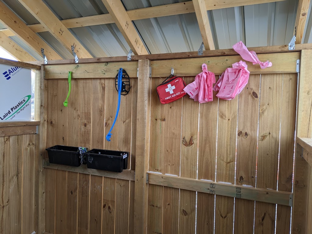 Country Canines Play Park - Carp Road | 8X8V+X6, Ottawa, ON K0A 1L0, Canada | Phone: (613) 878-2309