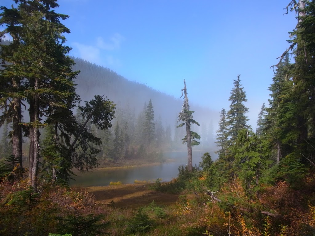 Margie Anderson, Remax Ocean Pacific Realty | 282 Anderton Rd, Comox, BC V9M 1Y2, Canada | Phone: (250) 702-5425