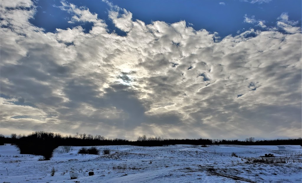 Sandridge Stables | 22335 Township Rd 520, Sherwood Park, AB T8C 1E2, Canada | Phone: (780) 922-7383