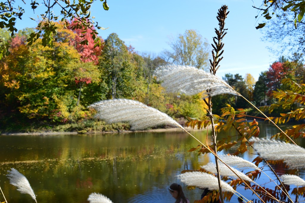 Parc et Centre Saint-Jean-Bosco | 249 Chemin du Golf East, Saint-Charles-Borromée, QC J6E 8L1, Canada | Phone: (450) 759-3362