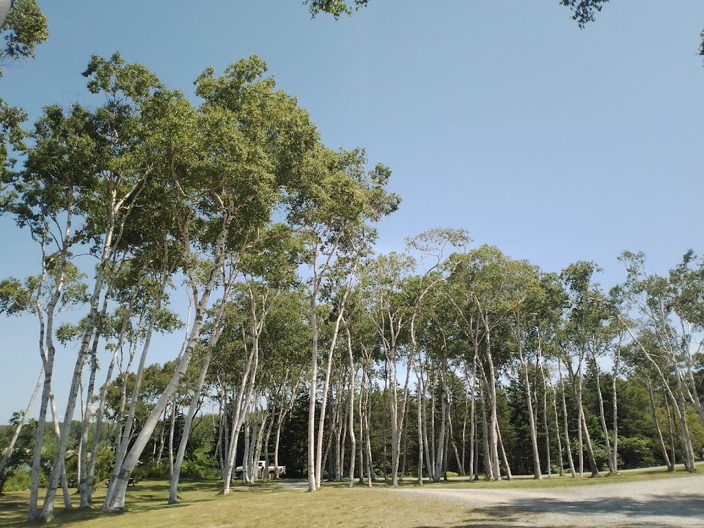 Savary Provincial Park | Plympton, NS B0W 2R0, Canada | Phone: (800) 670-4357