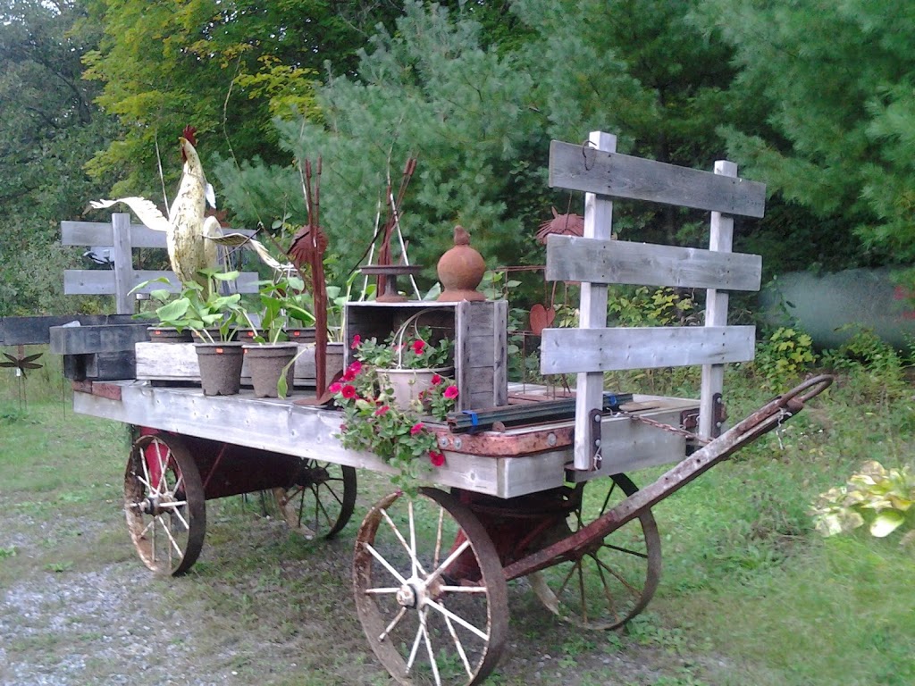 Cabin Savvy Fashion Gift & Garden | 1058 Youngs Rd, Port Carling, ON P0B 1J0, Canada | Phone: (705) 765-7386