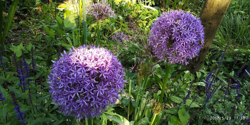 Town Centre Park Inspiration Garden | 3091-3099 Guildford Way, Coquitlam, BC V3B 4S1, Canada