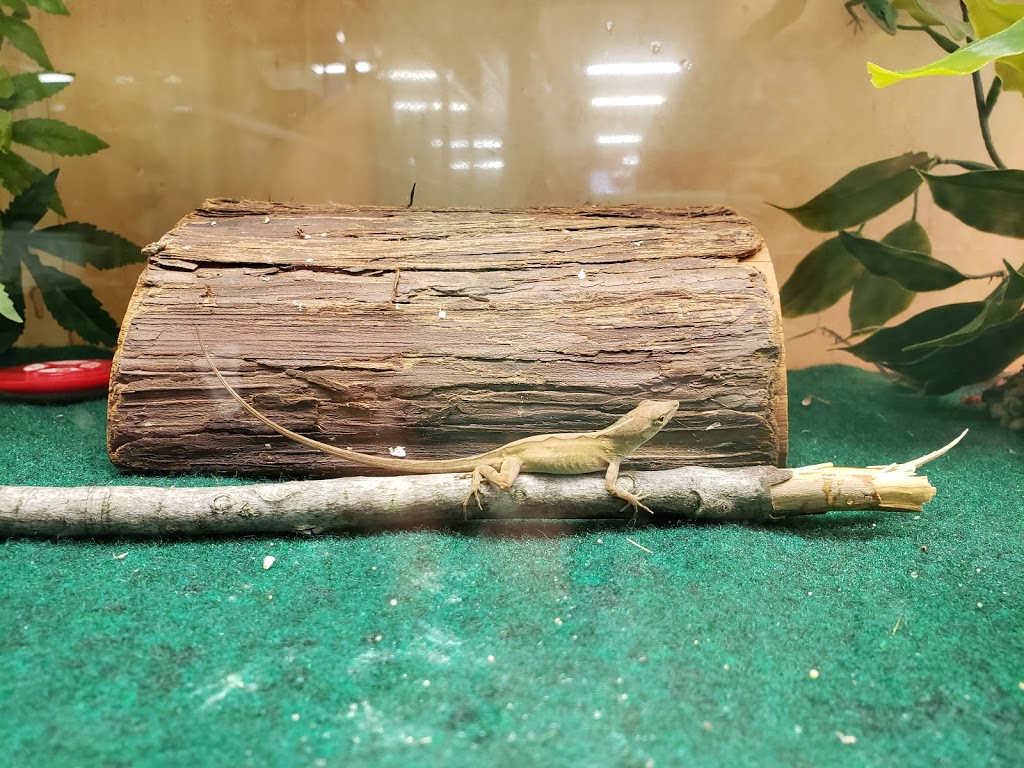 Classic Pet Supply II | 3180 Gratiot Blvd, Marysville, MI 48040, USA | Phone: (810) 364-0200