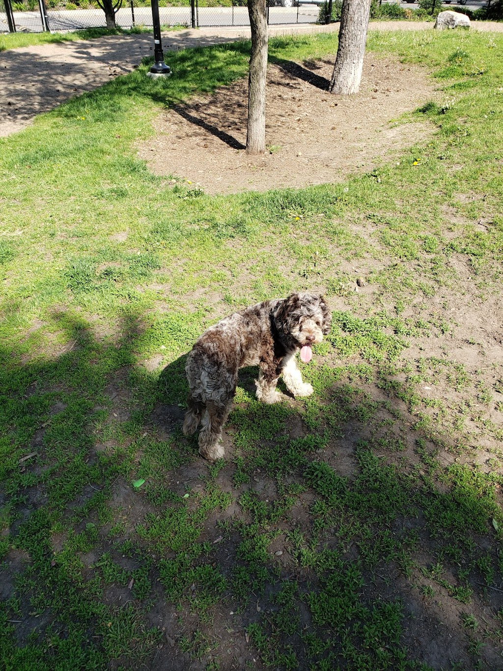 Montreal West dog park | 17 Chem. Ainslie, Montréal-Ouest, QC H4X 1V3, Canada | Phone: (514) 872-0311
