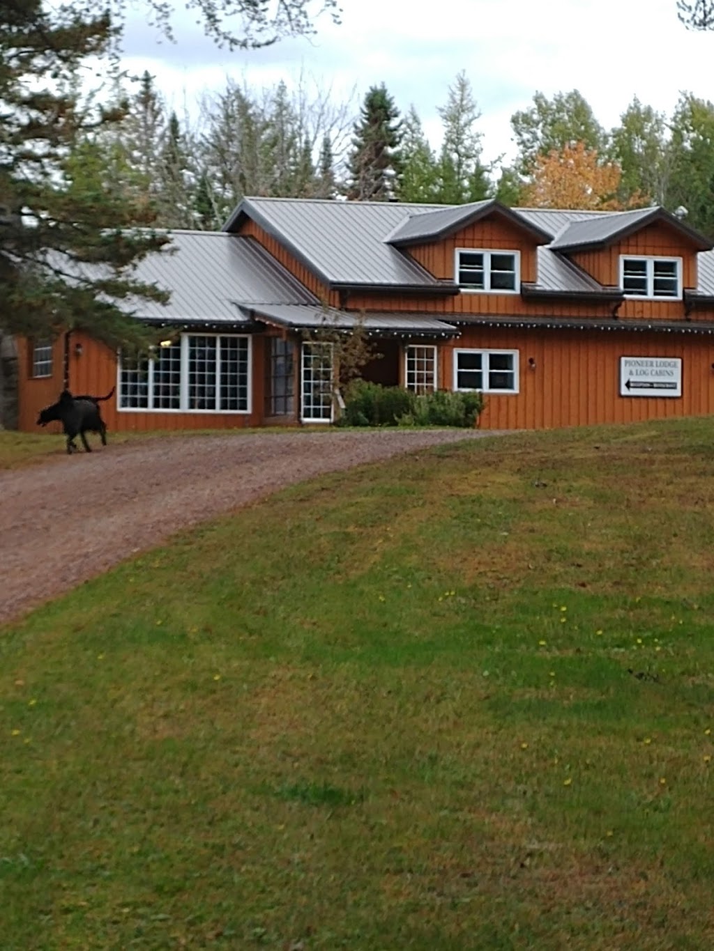 Pioneer Lodge & Log Cabins | 410 Cumberland Bay South Rd, Cumberland Bay, NB E4A 3E3, Canada | Phone: (506) 339-6458