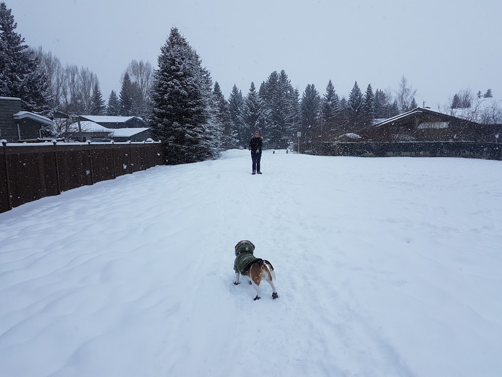 Pump Hill Off Leash Area | 344 Pump Hill Gardens SW, Calgary, AB T2V 4M7, Canada