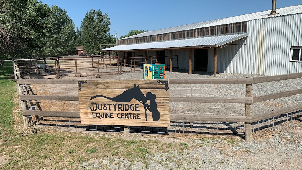Dustyridge Equine Centre | Osterwick St S RR 1, Osterwick, MB R6W 4A1, Canada | Phone: (204) 362-4075