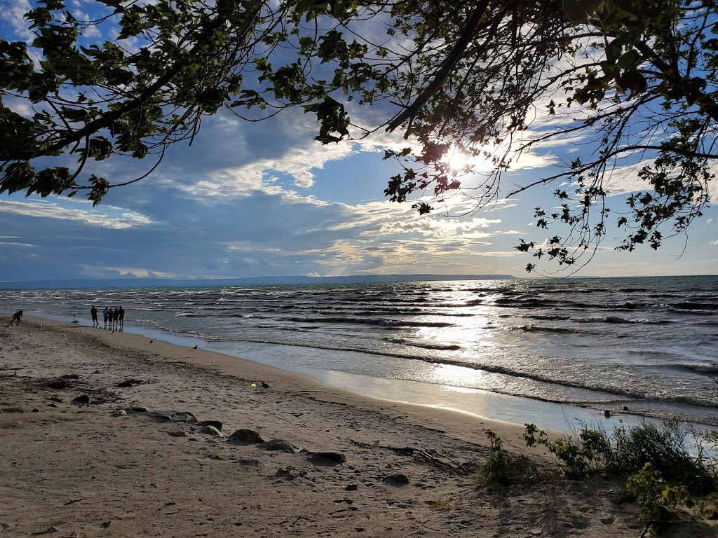 The Sandbar | 63 Beach Dr, Wasaga Beach, ON L9Z 2K2, Canada | Phone: (705) 429-5105