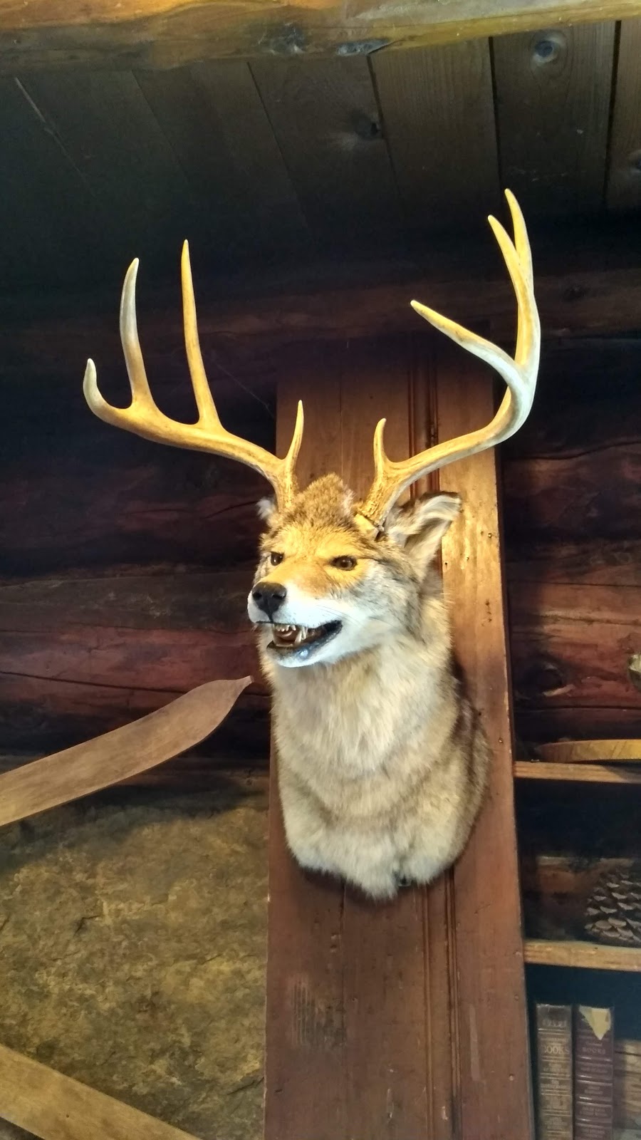 Mad Trappers | 1 Sunshine Access Rd, Banff, AB T1L 1J5, Canada | Phone: (403) 762-7881