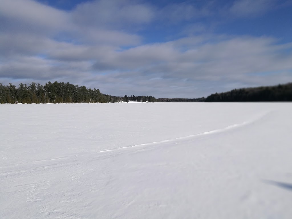 LES EXPÉDITIONS DES 100 LACS INC. | 247-295 Ave Principale, Saint-Élie-de-Caxton, QC G0X 2N0, Canada | Phone: (819) 852-3535