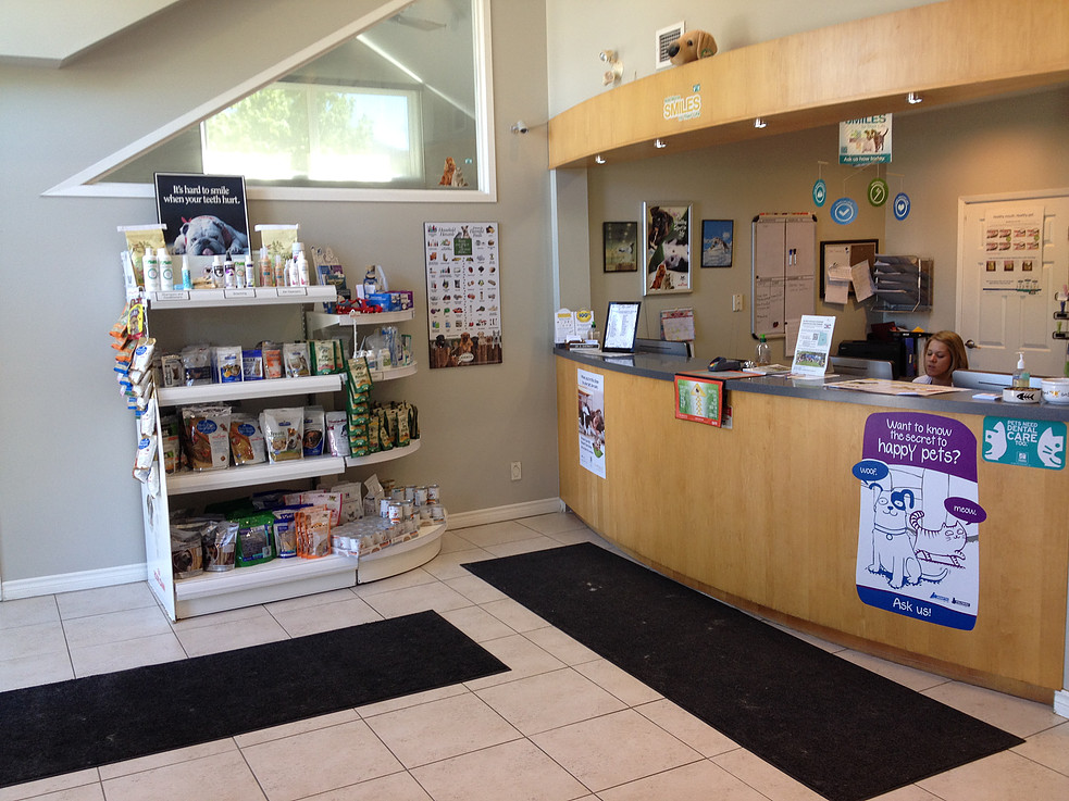 Bayview Hill Animal Hospital | 9912 Bayview Ave, Richmond Hill, ON L4C 2L3, Canada | Phone: (905) 508-1991