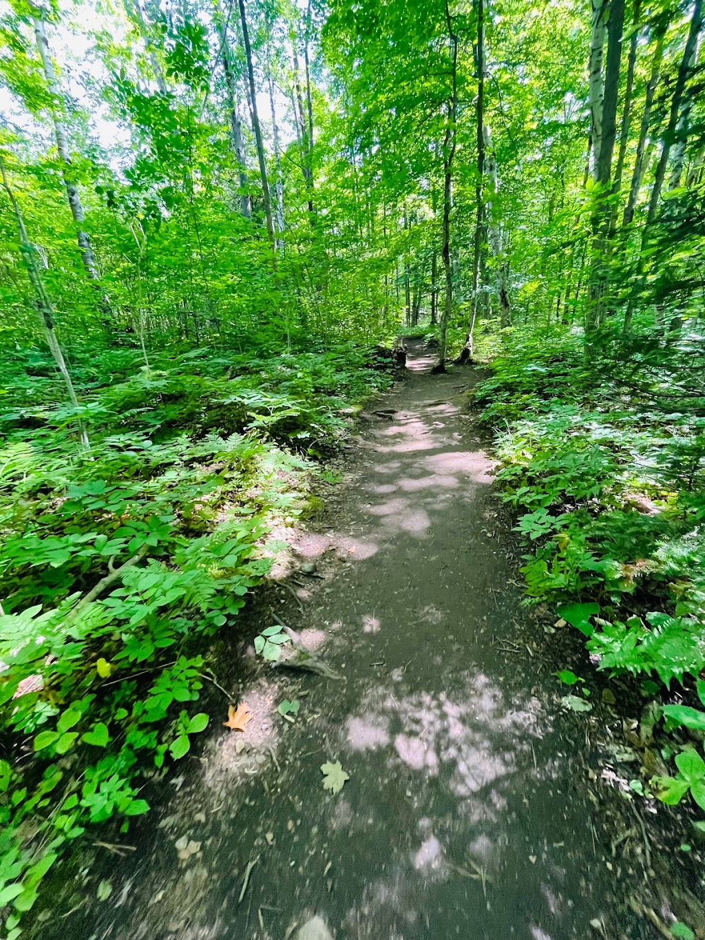 Lion’s Head Lookout Trail Parking | McCurdy Drive Parkette, Bruce Trail, Lions Head, ON N0H 1W0, Canada | Phone: (519) 793-3522