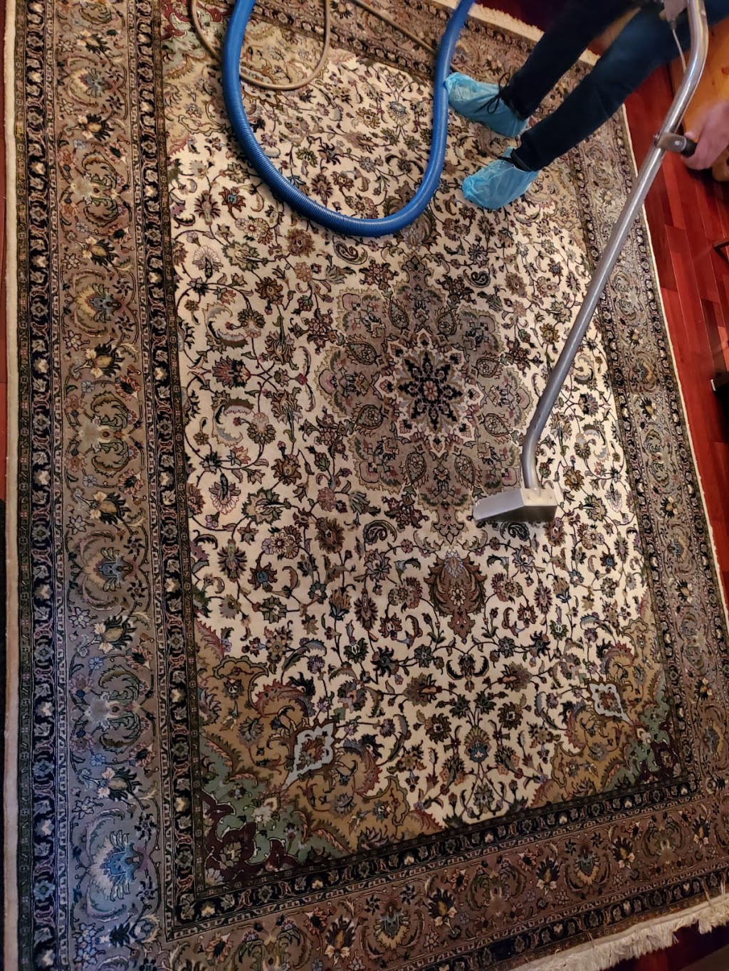 A1 Carpet And upholstery cleaning Surrey,Langley,Delta | 14435 Chartwell Dr, Surrey, BC V3S 5E3, Canada | Phone: (604) 442-6405