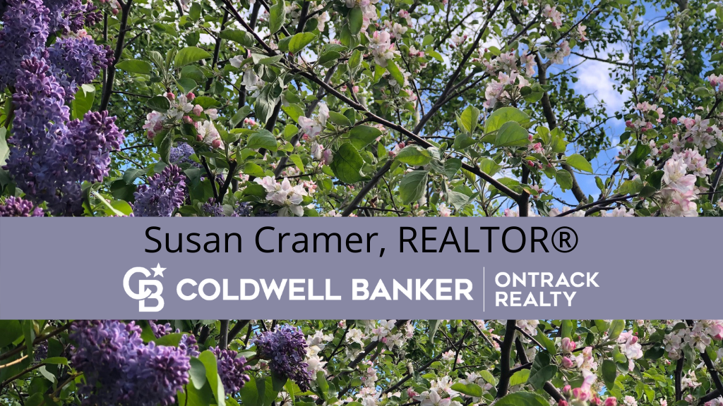 Susan Cramer - Coldwell Banker OnTrack Realty | real estate agency | 35468 Range Rd 30 #7100, Red Deer County, AB T4G 0M3, Canada | 4038634866 OR +1 403-863-4866