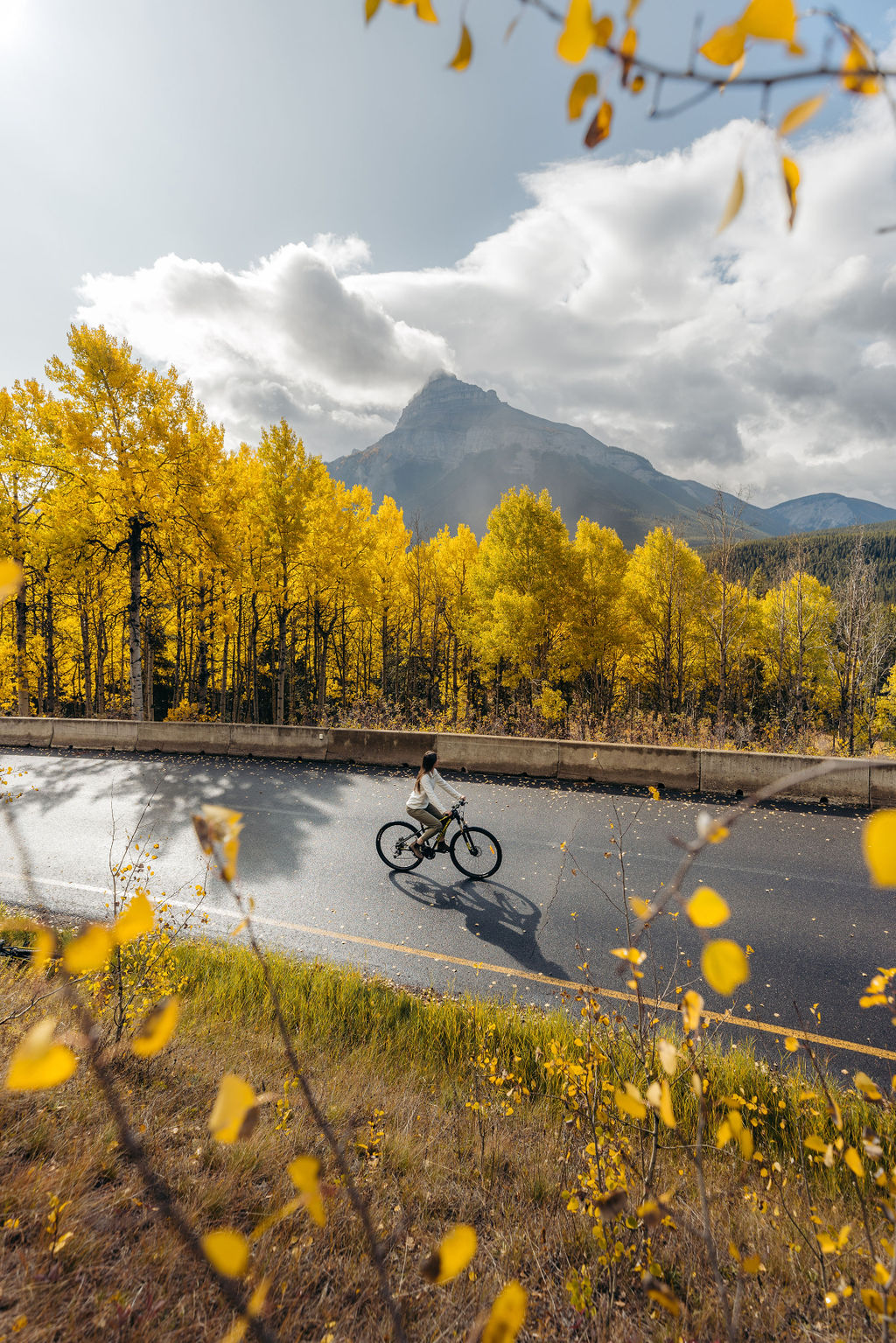 Bow Valley Parkway | Bow Valley Pkwy, Improvement District No. 9, AB T0L 1E0, Canada | Phone: (250) 726-6242