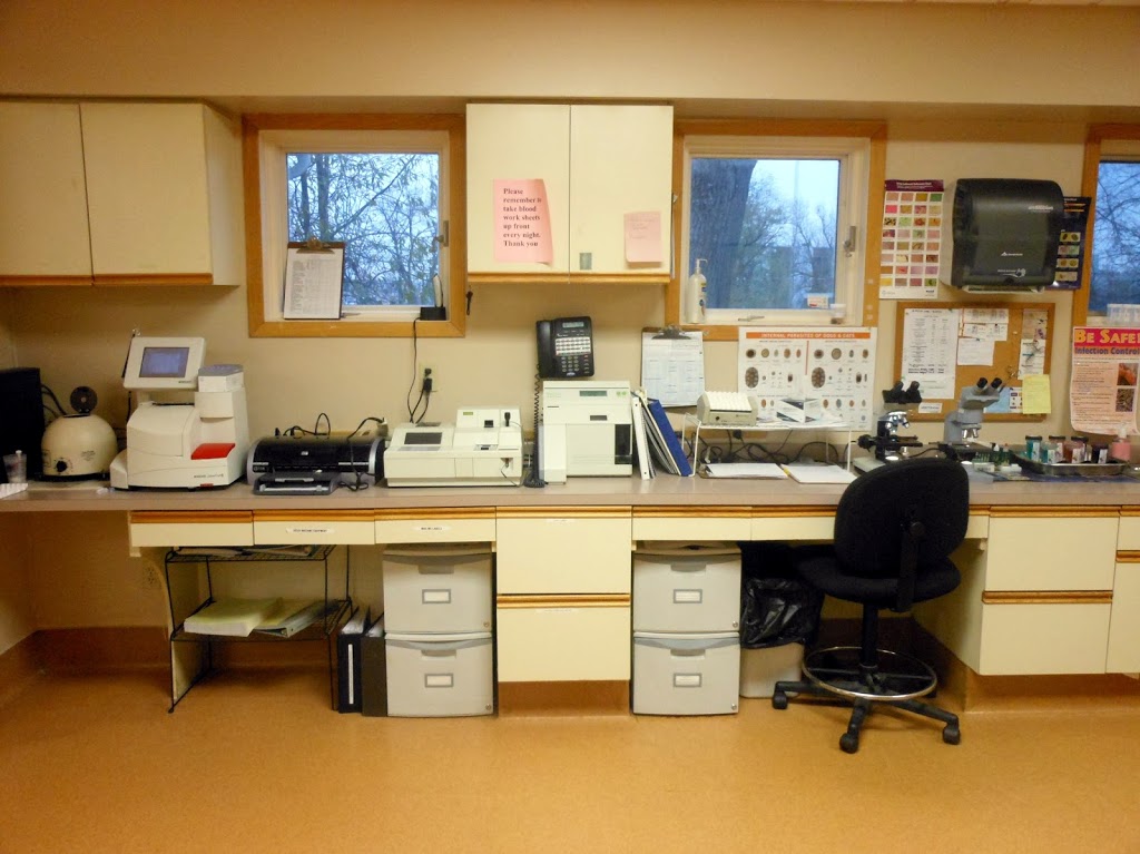 Lancaster Small Animal Hospital: Fetzner Heather A DVM | 5156 Genesee St, Bowmansville, NY 14026, USA | Phone: (716) 681-3033