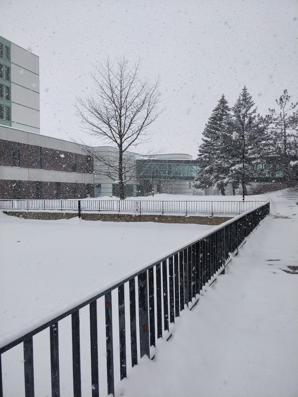 The Ottawa Hospital Riverside Campus | 1967 Riverside Dr., Ottawa, ON K1H 7W9, Canada | Phone: (613) 798-5555