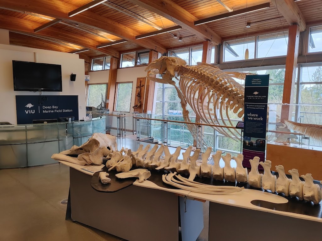 Deep Bay Marine Field Station | 370 Crome Point Rd, Bowser, BC V0R 1G0, Canada | Phone: (250) 740-6611