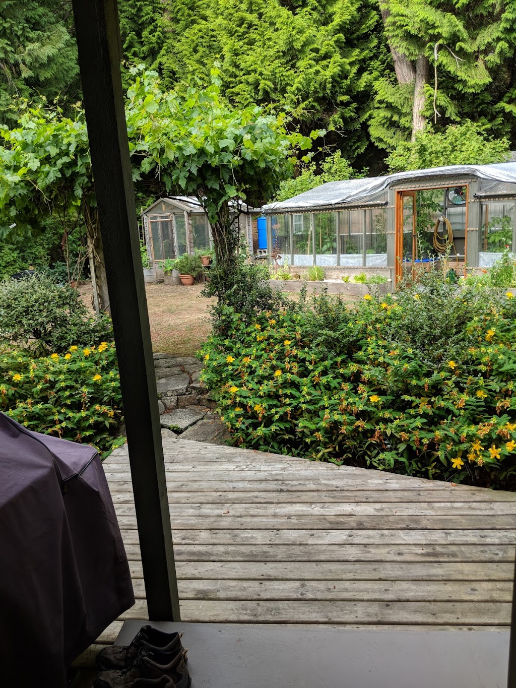 Coach House on the Cove | 8802 Canal Rd, Pender Island, BC V0N 2M3, Canada | Phone: (250) 629-2009