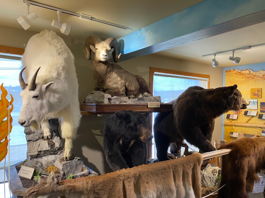 Radium Hot Springs Visitor Centre | 7556 Main St E, Radium Hot Springs, BC V0A 1M0, Canada | Phone: (250) 347-9331