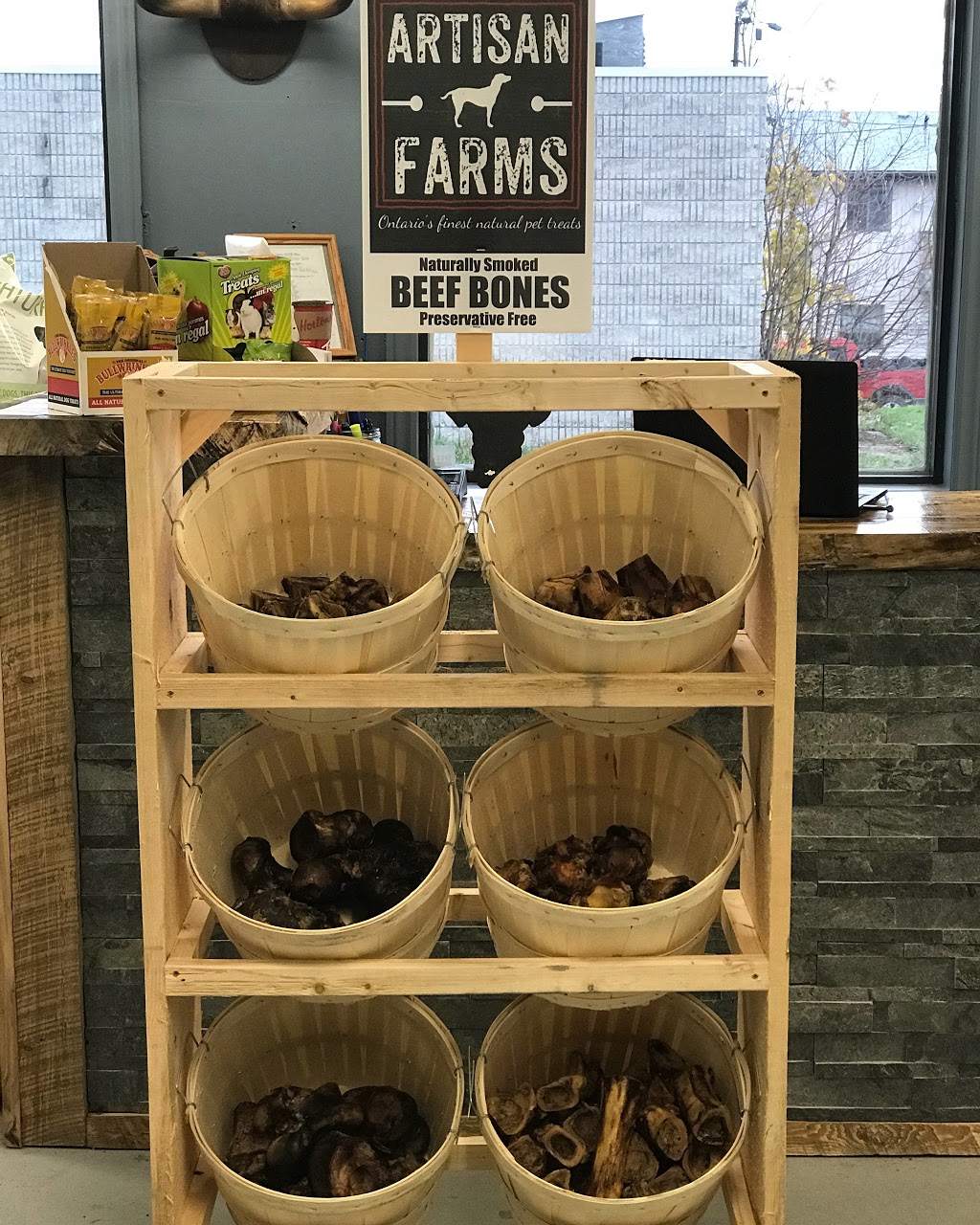 Animal Kingdom Pet Specialty Shop | 286 Main St S, Mount Forest, ON N0G 2L0, Canada | Phone: (519) 509-9477