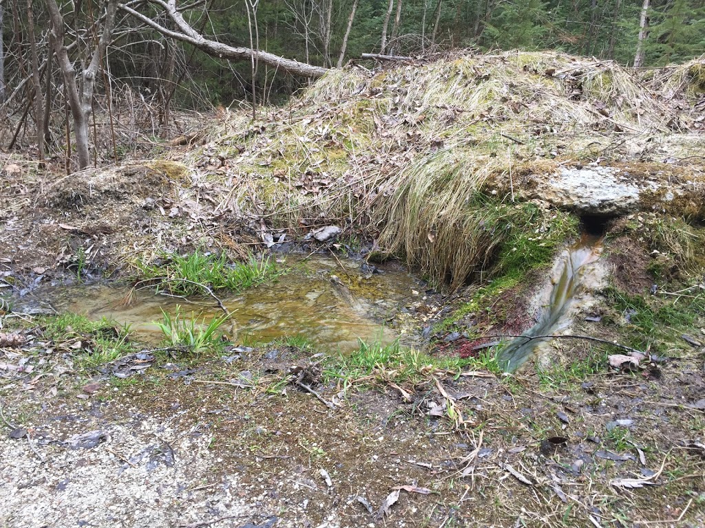 Springwater Provincial Park | 1331 ON-26, Midhurst, ON L0L 1X0, Canada | Phone: (705) 728-7393