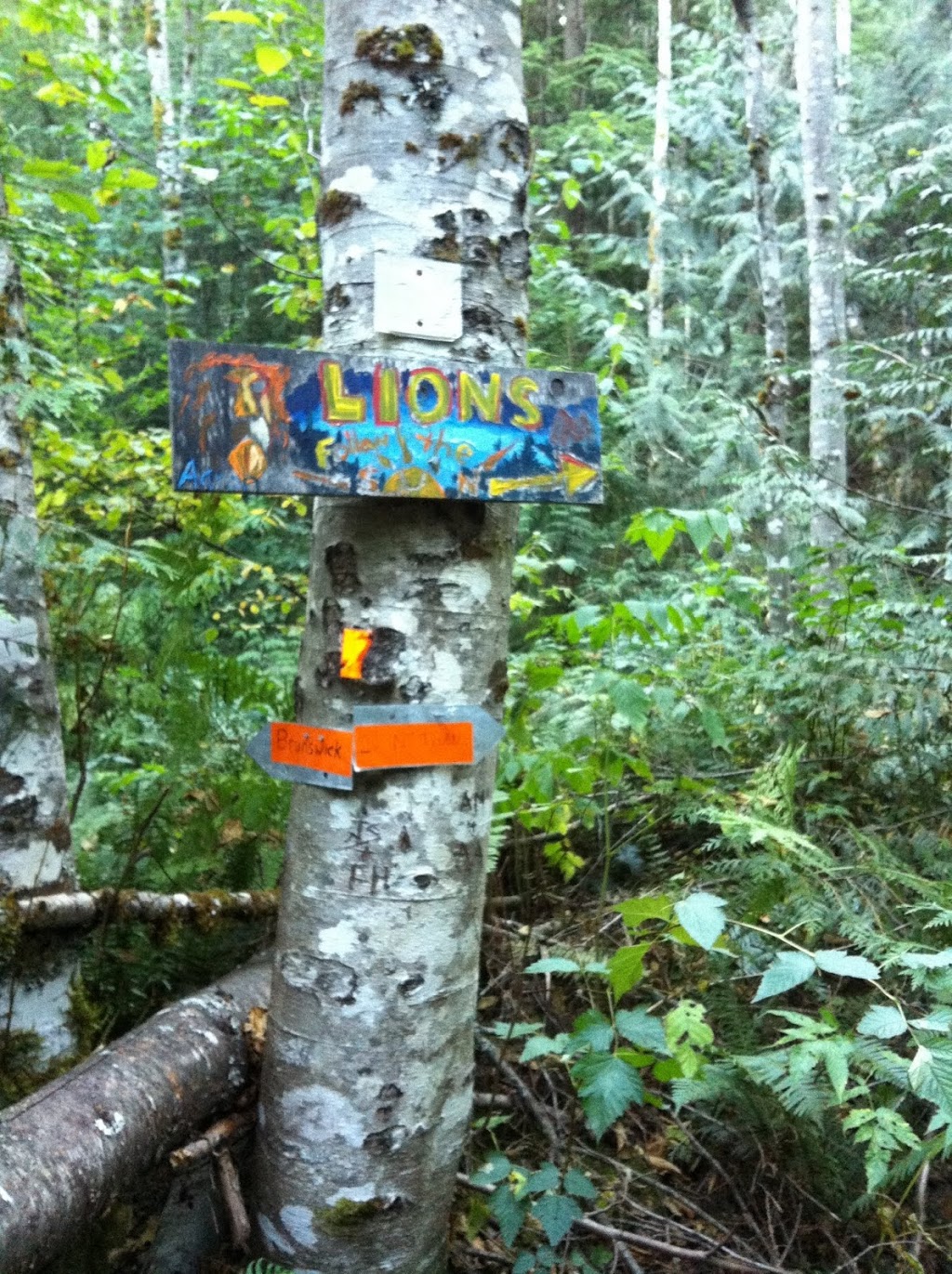Upper Harrison Trail | Unnamed Road, Lions Bay, BC V0N, Canada