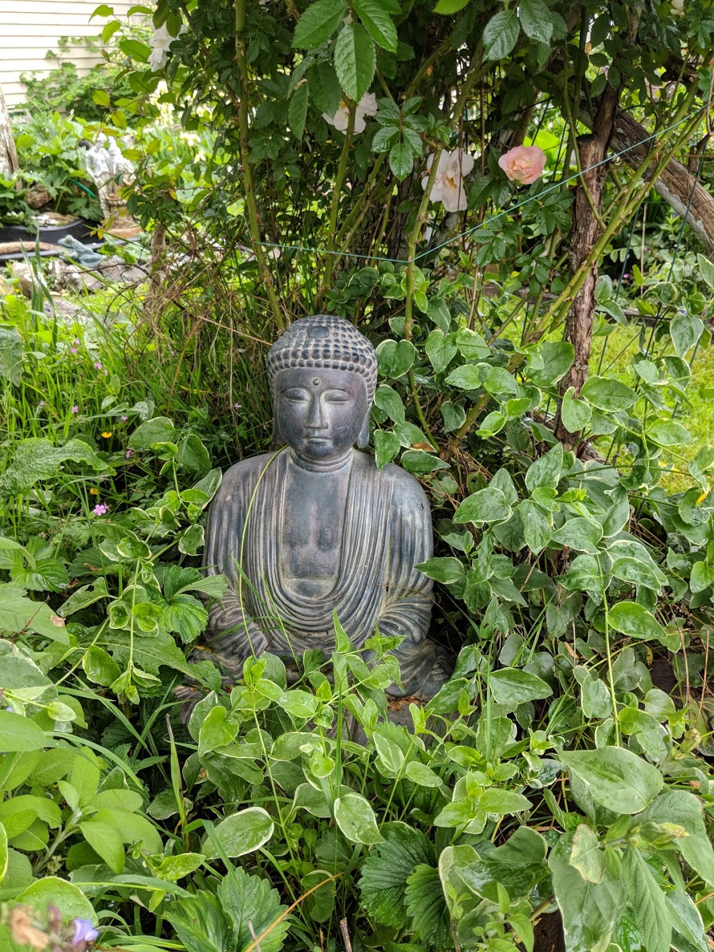 Being Bliss Healing Therapy | 6815 Evans Rd, Chilliwack, BC V2R 4B9, Canada | Phone: (604) 819-6555