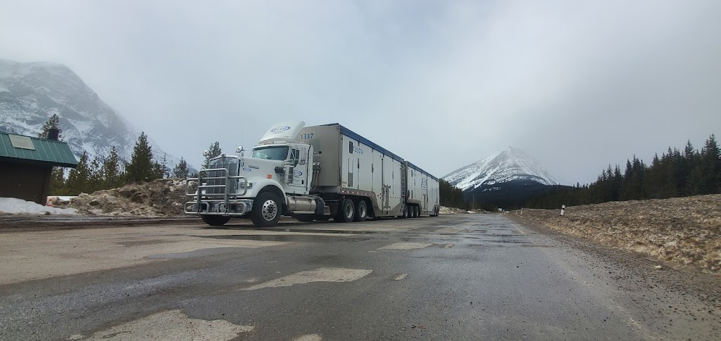 Glen Transport | Farstad Way, Skookumchuck, BC V0B 2E0, Canada | Phone: (250) 422-3535