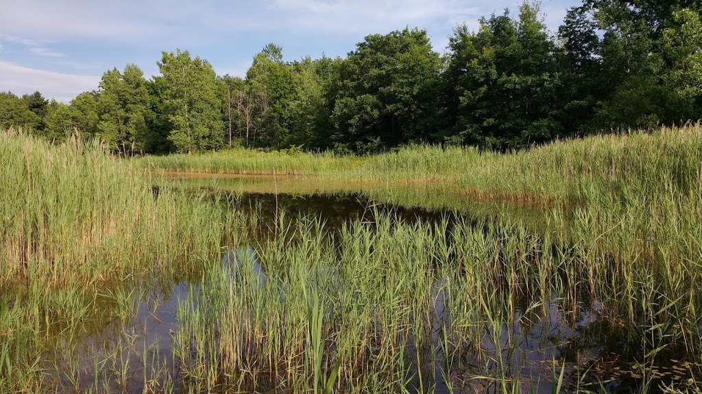 Marthaville Habitat Management Area | 4749 Marthaville Rd, Petrolia, ON N0N 1R0, Canada