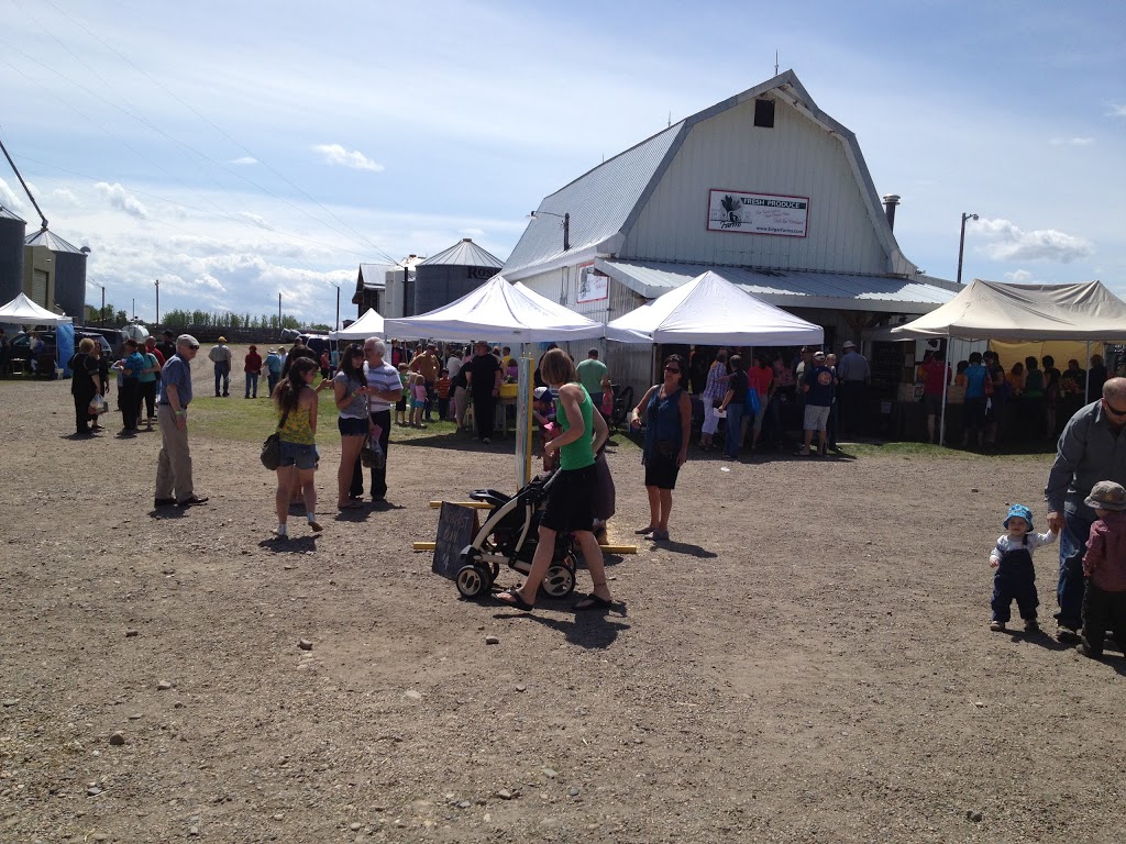 Edgar Farms | 1465 Township Rd 352, Innisfail, AB T4G 0M8, Canada | Phone: (403) 227-4120
